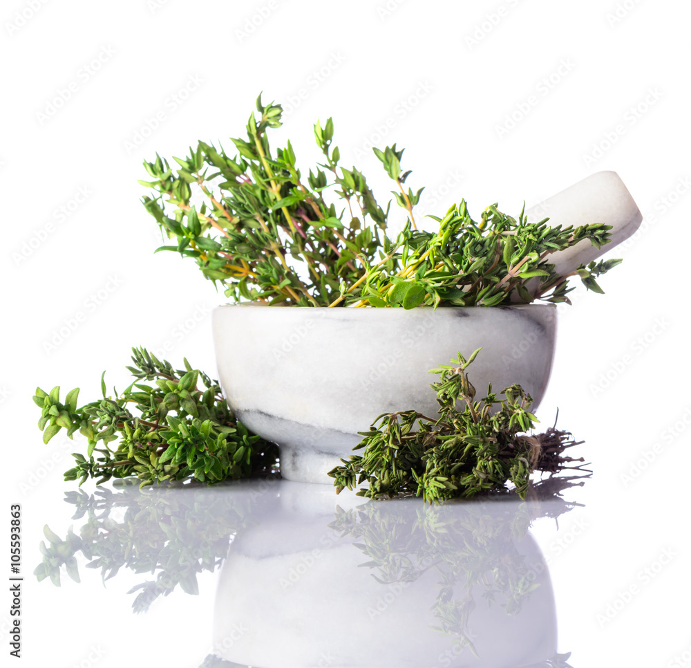 Green Thyme in Pestle and Mortar on White Background