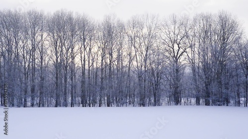 Wallpaper Mural ダイヤモンドダスト Torontodigital.ca