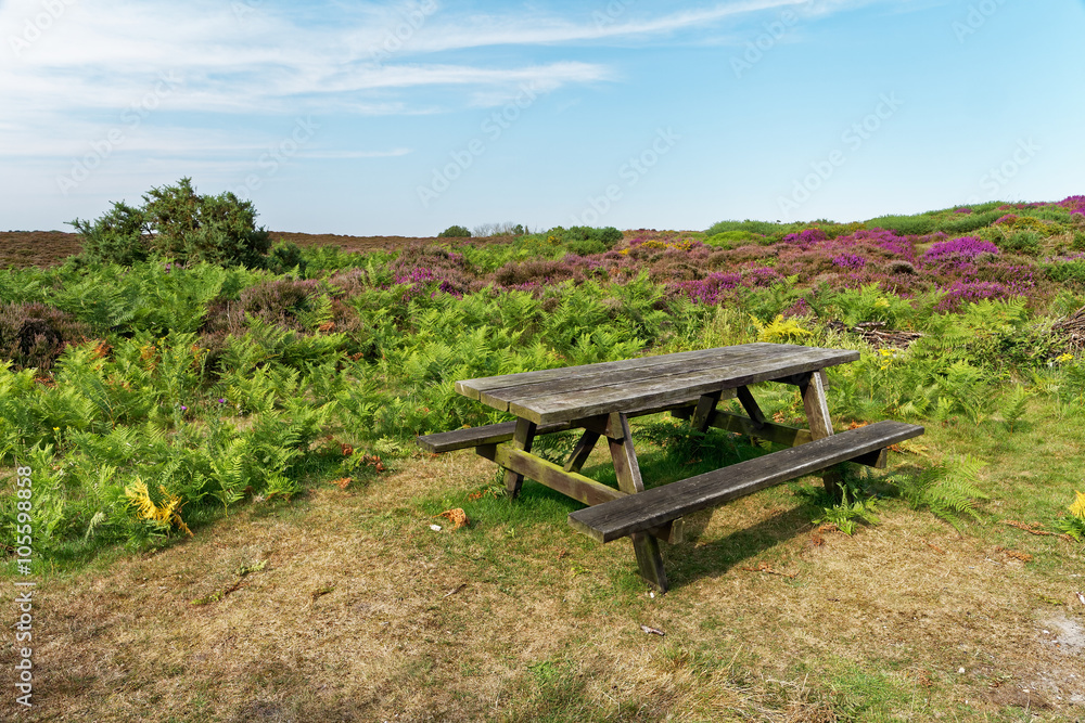 Summer landscape with moorland and a wooden picnic table