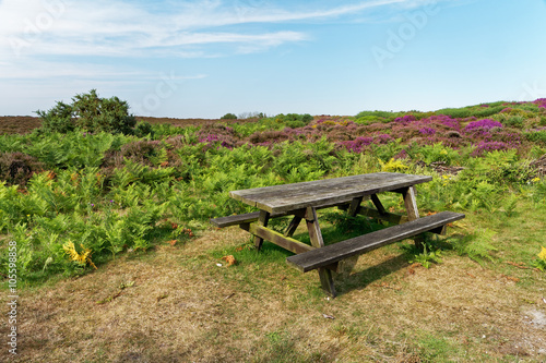 Canvas Print Summer landscape with moorland and a wooden picnic table
