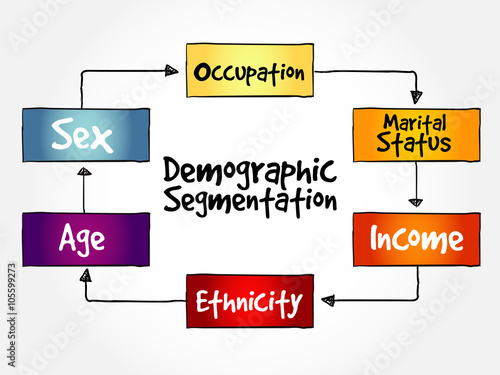 Demographic segmentation mind map flowchart social business concept for presentations and reports