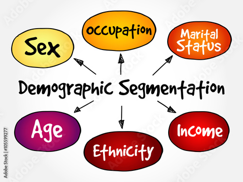 Demographic segmentation mind map flowchart social business concept for presentations and reports