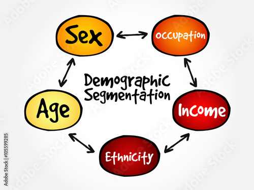 Demographic segmentation mind map flowchart social business concept for presentations and reports