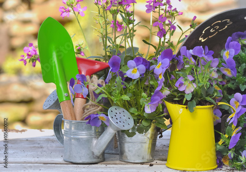 matériel de jardin parmi fleurs sur table de jardin