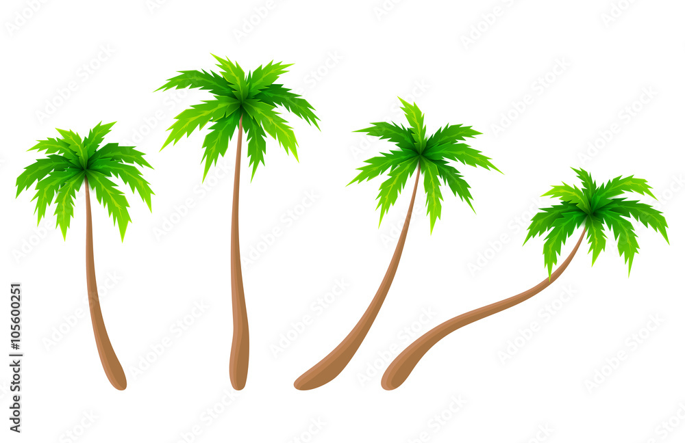 Obraz premium Set of vector palm trees. Cartoon collection of palm trees. Vector illustration.