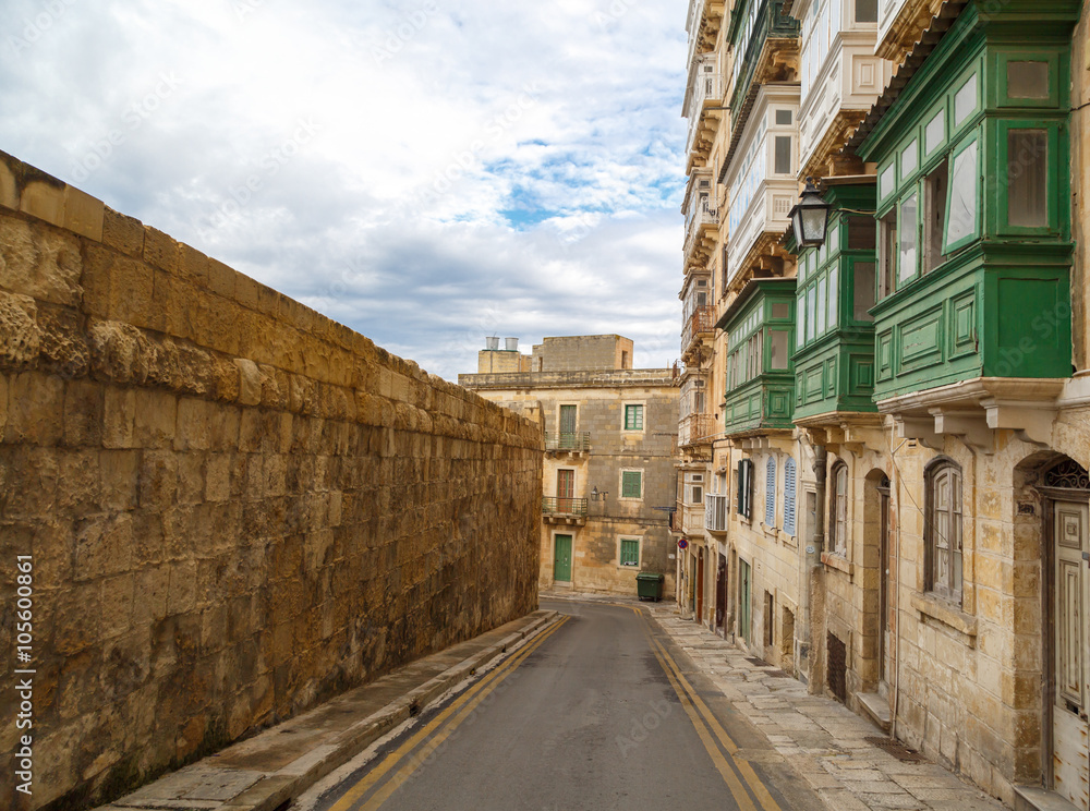 Detailed Valletta View