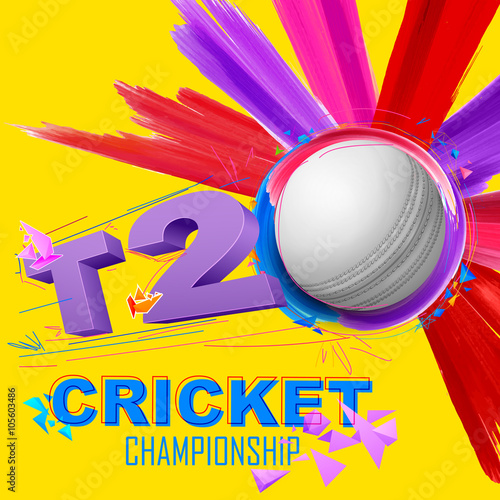 Cricket ball for T20 Cricket Championship 
