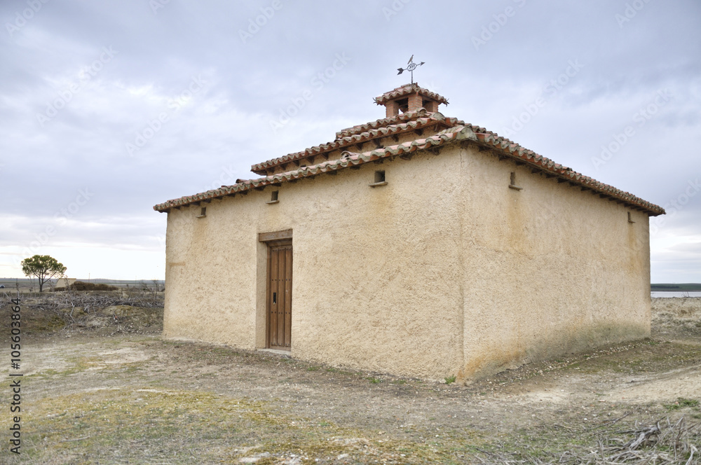 Fototapeta premium Old dovecote beside a tree in bloom, in the background one lagoon, located in Zamora, Spain
