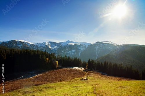 Mountain landscape with tree forest