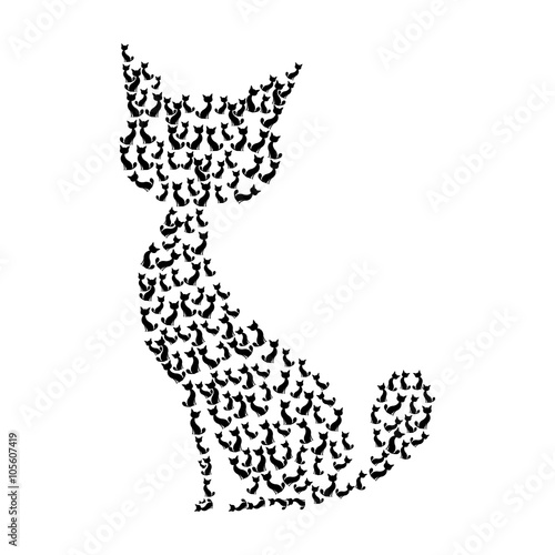 Black cat isolated on white background