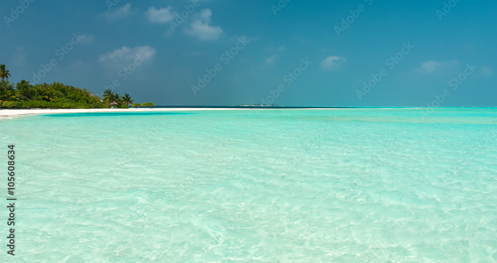 Fototapeta premium Tropikalna plaża