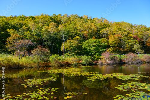 Ichinuma pond, Shiga Highlands in autumn in Nagano, Japan