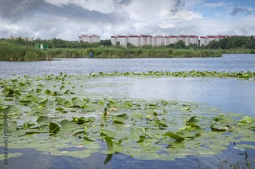 Belarus, Baranovichi, city panorama: Zhlobinsky lake and residential district Textile worker. photo