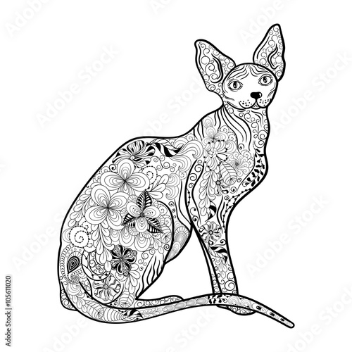 Cat Sphynx doodle