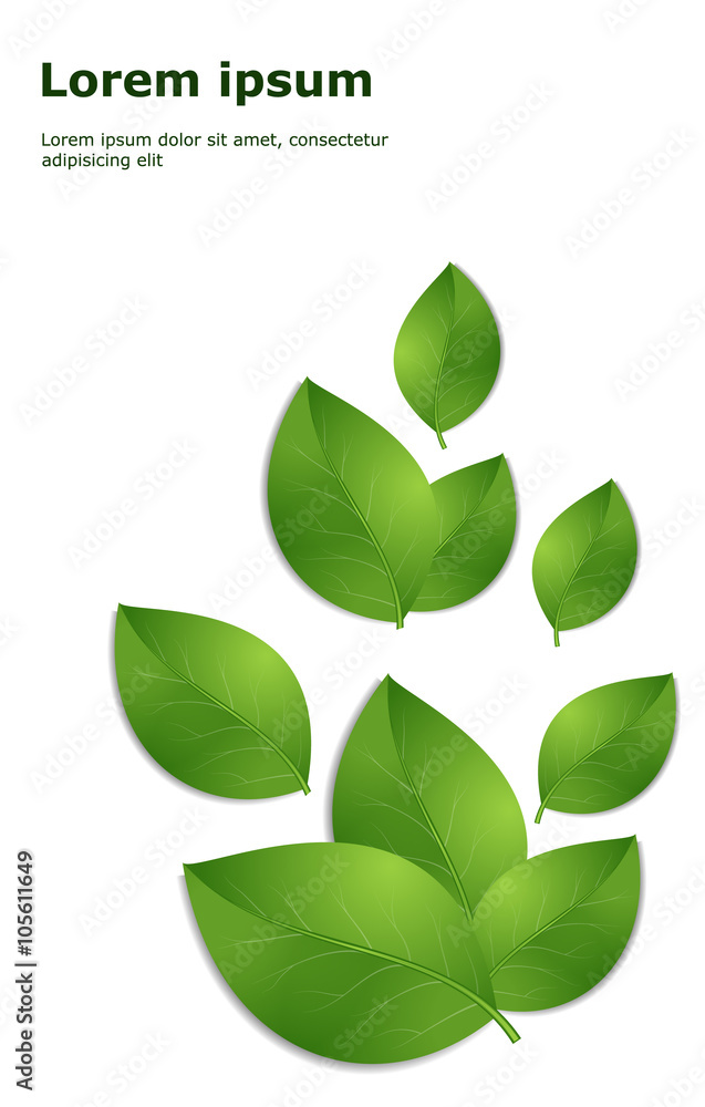 green leaves template