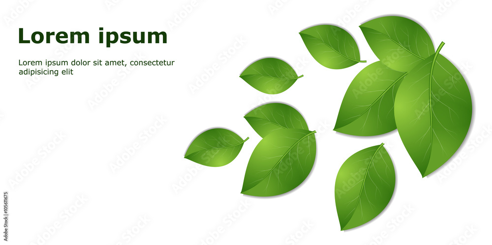 green leaves template green leaves template