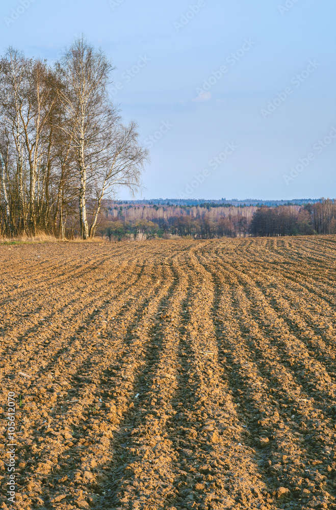 A farm field in spring