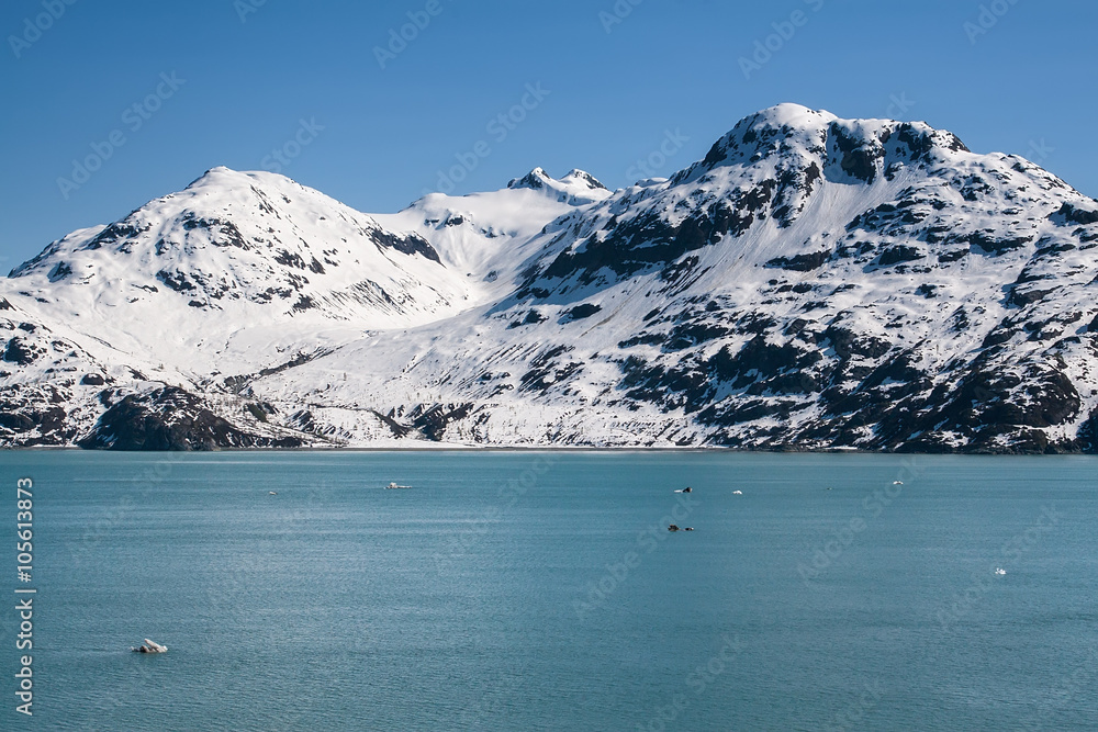 Obraz premium Glacire Bay, Alaska