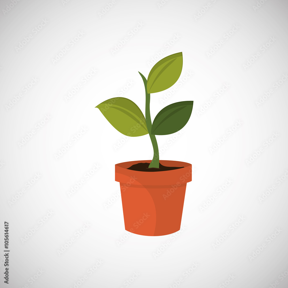 Natural and eco design Natural and eco design