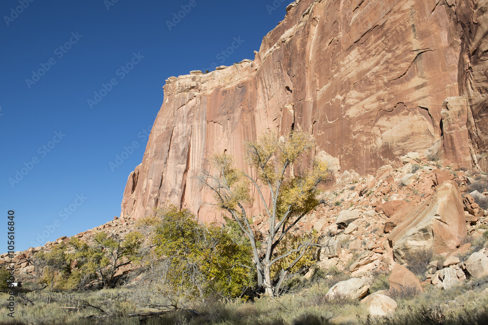 Desierto de rocas coloradas, Utah, USA