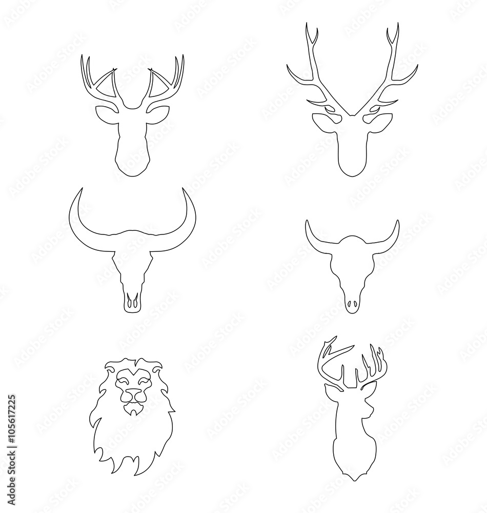 Outline heads of animals: deer, lion, buffalo in vector