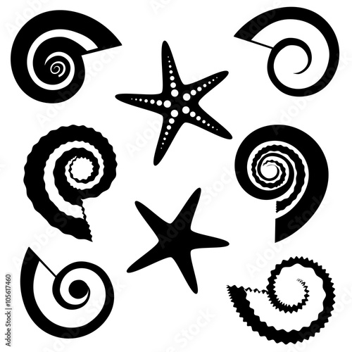 Shells and starfish silhouettes set