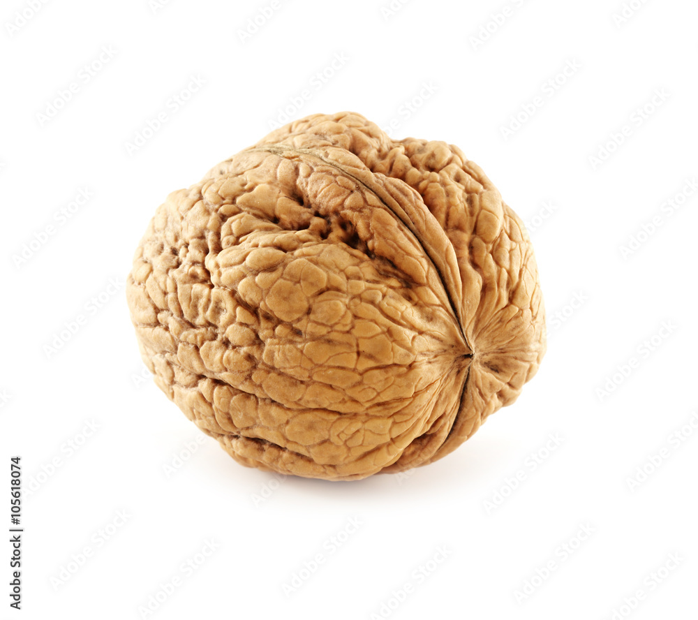 walnut 