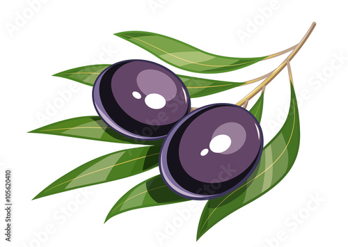 Pair of black olive vector illustration eps10