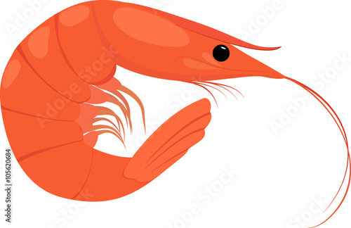 Cooked shrimp on white background