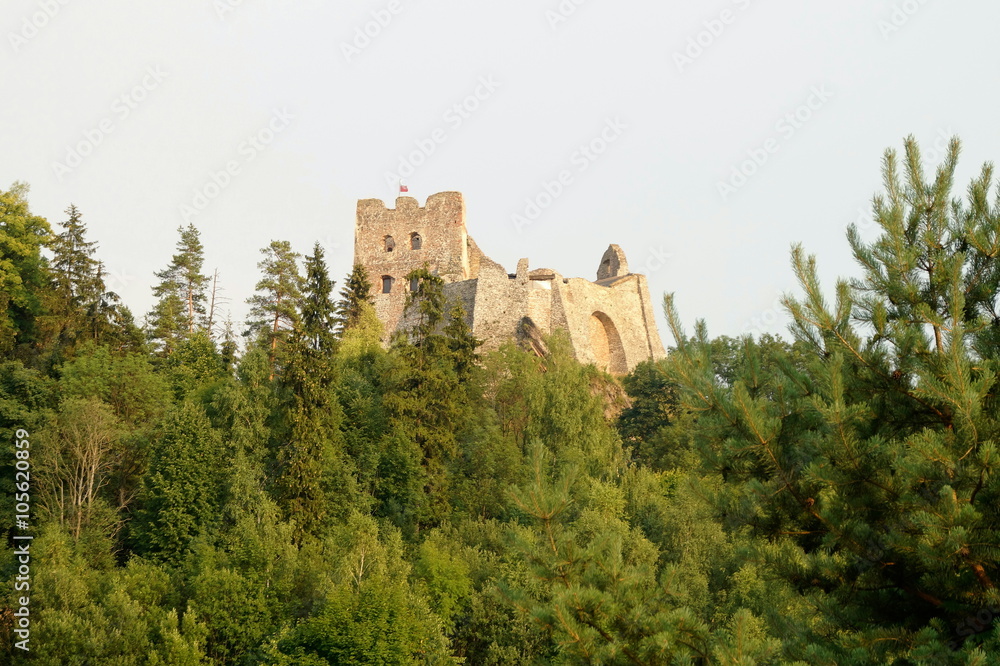 Fototapeta premium Zamek w Czorsztynie