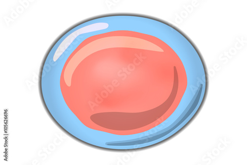 Cartoon simple single living cell 