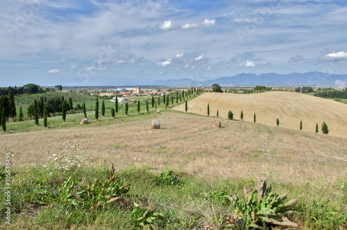 Campagne e colline livornesi. photo