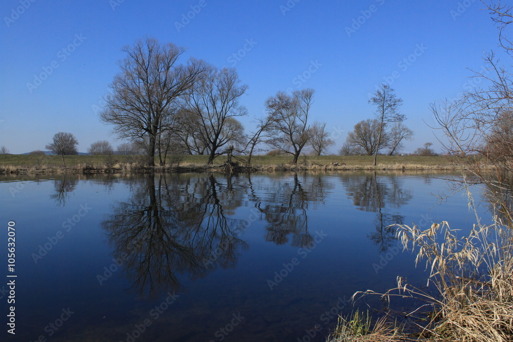 Obraz premium Havellandschaft bei Gülpe im Naturpark Westhavelland
