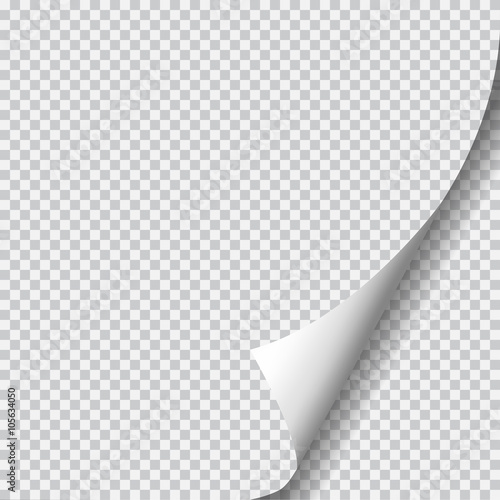 Page curl with shadow on blank sheet of paper