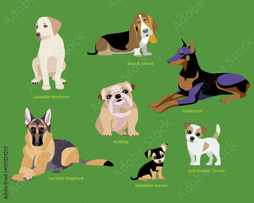 Dogs breed set isolated vector illustration