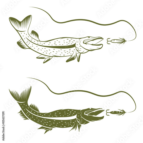 set of pike and lure vector design template