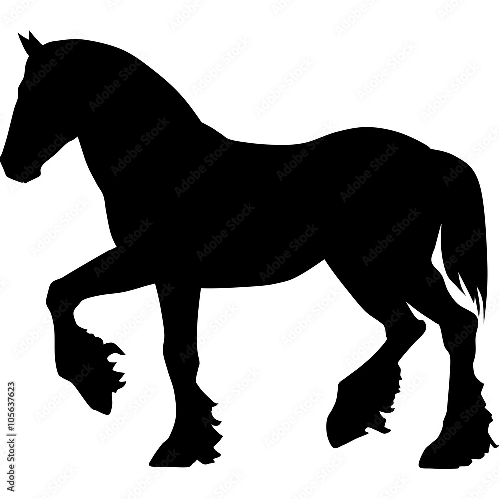 Obraz premium black horse silhouette 