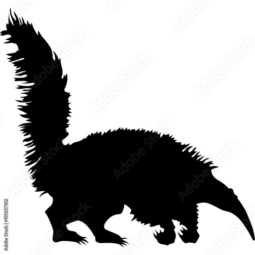 silhouette of anteater