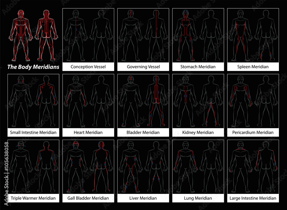 Body meridians - Detailed diagram with main acupuncture meridians
