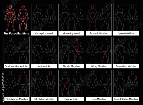 Body meridians - Detailed diagram with main acupuncture meridians, anterior and posterior view. Isolated vector illustration on black background.