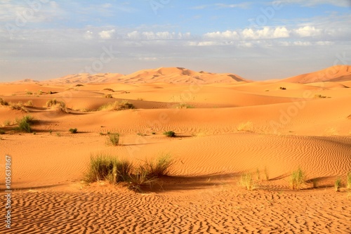 Sanddünen in der Morgensonne im Erg Chebbi, Sahara (Marokko)