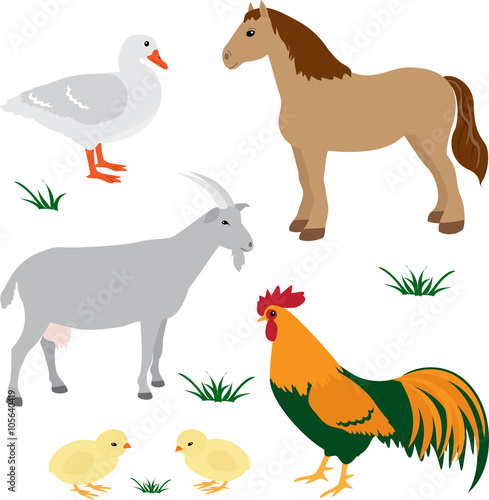 Farm animals set 2