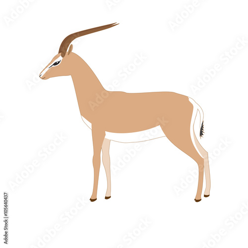 Vector gazelle