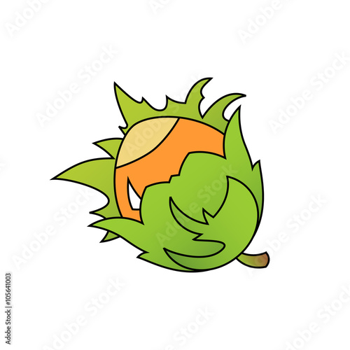 Education, Food, Nature, Vintage