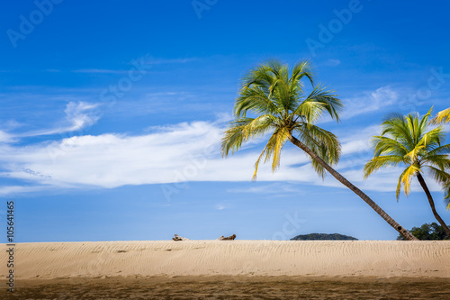 Palm trees on the Carrillo beach