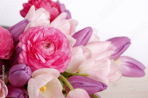 Fototapeta Naklejka Na Ścianę i Meble -  frühlingsboten