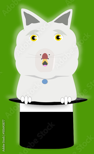 El conejo de la chistera.