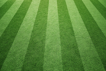 Sunny socccer or rugby artificial green grass field background.