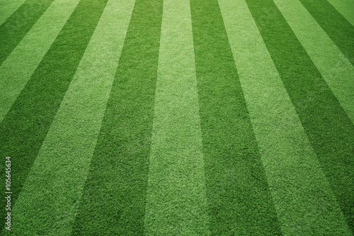 Sunny socccer or rugby artificial green grass field background. © robsonphoto