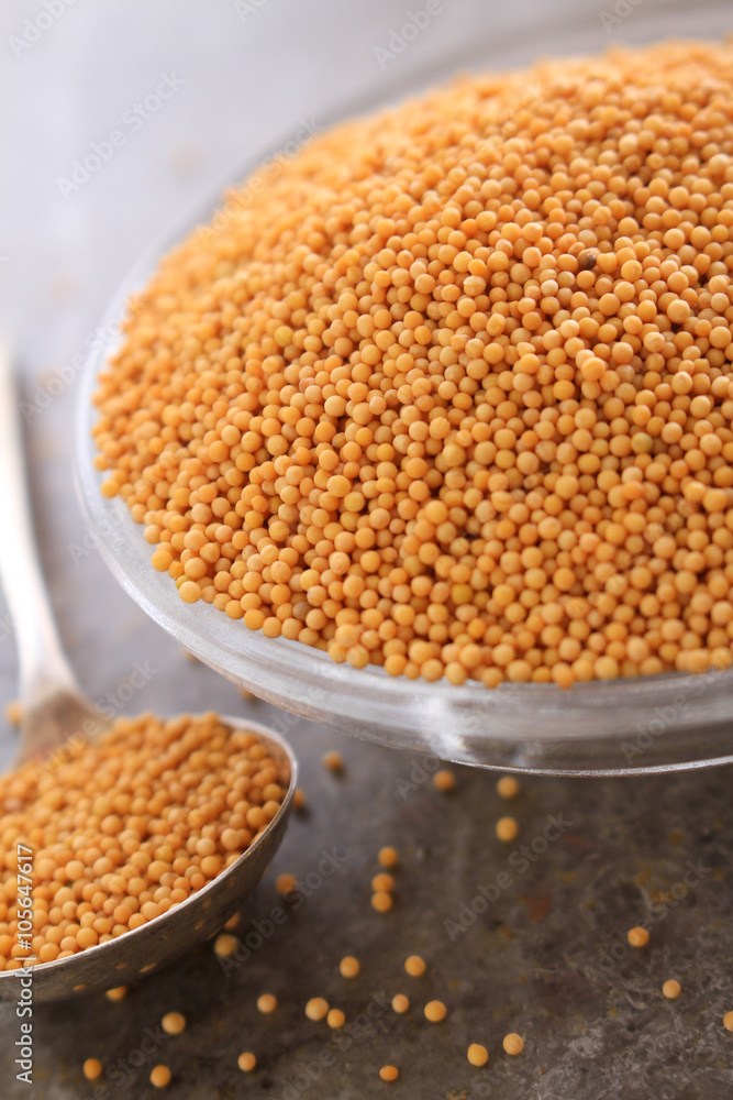fresh dry yellow mustard seeds fresh dry yellow mustard seeds